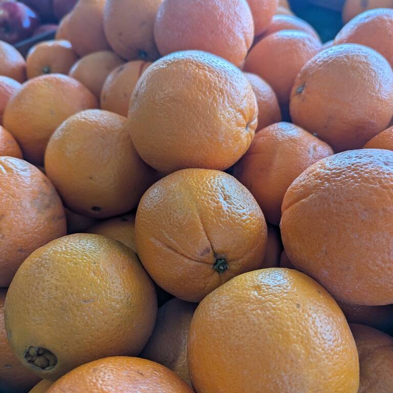 491080599 996642089116616 3232842751873954337 N