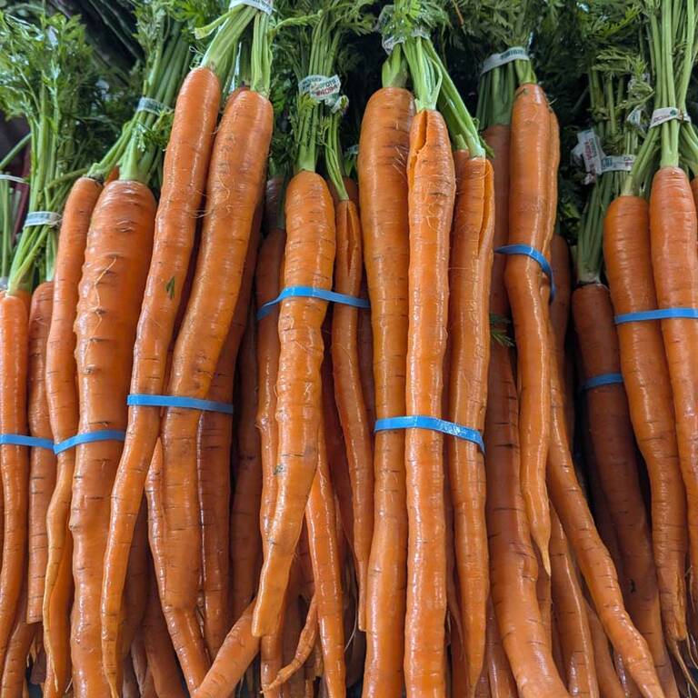 Carrots