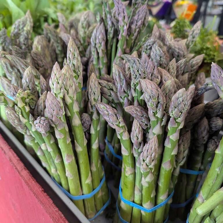 Asparagus