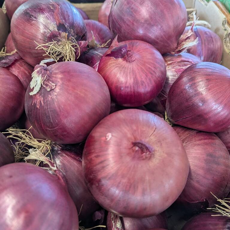 500774597 1025460779568080 3147323759319886750 N