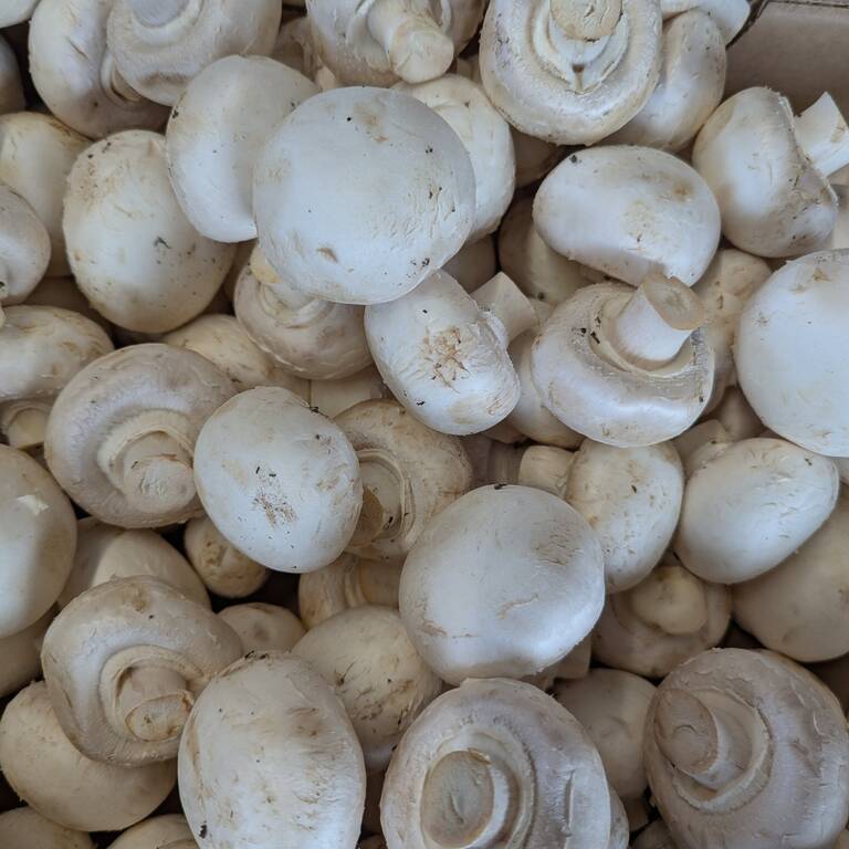 506646506 1040200351427456 5983775329039520407 N