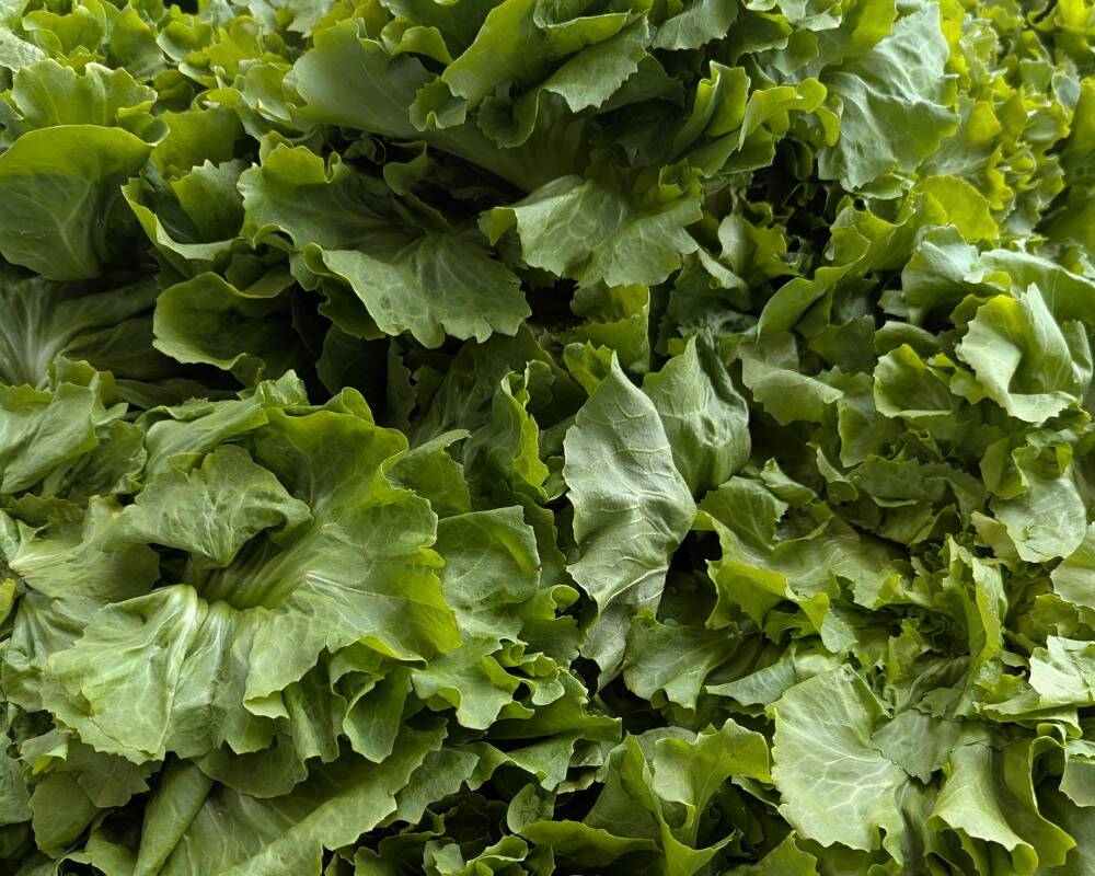 508296184 1040200418094116 2347240701111694908 N 508296184 1040200418094116 2347240701111694908 N