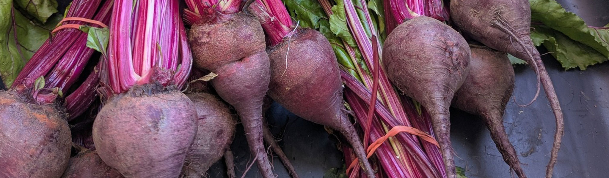 Beets Beets